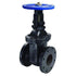 Crane | Gate Valve | Cast Iron 2