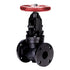 Crane | Globe Valve | Cast Iron