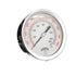 PFP Gauge | 6in Dial | Back Mount 2