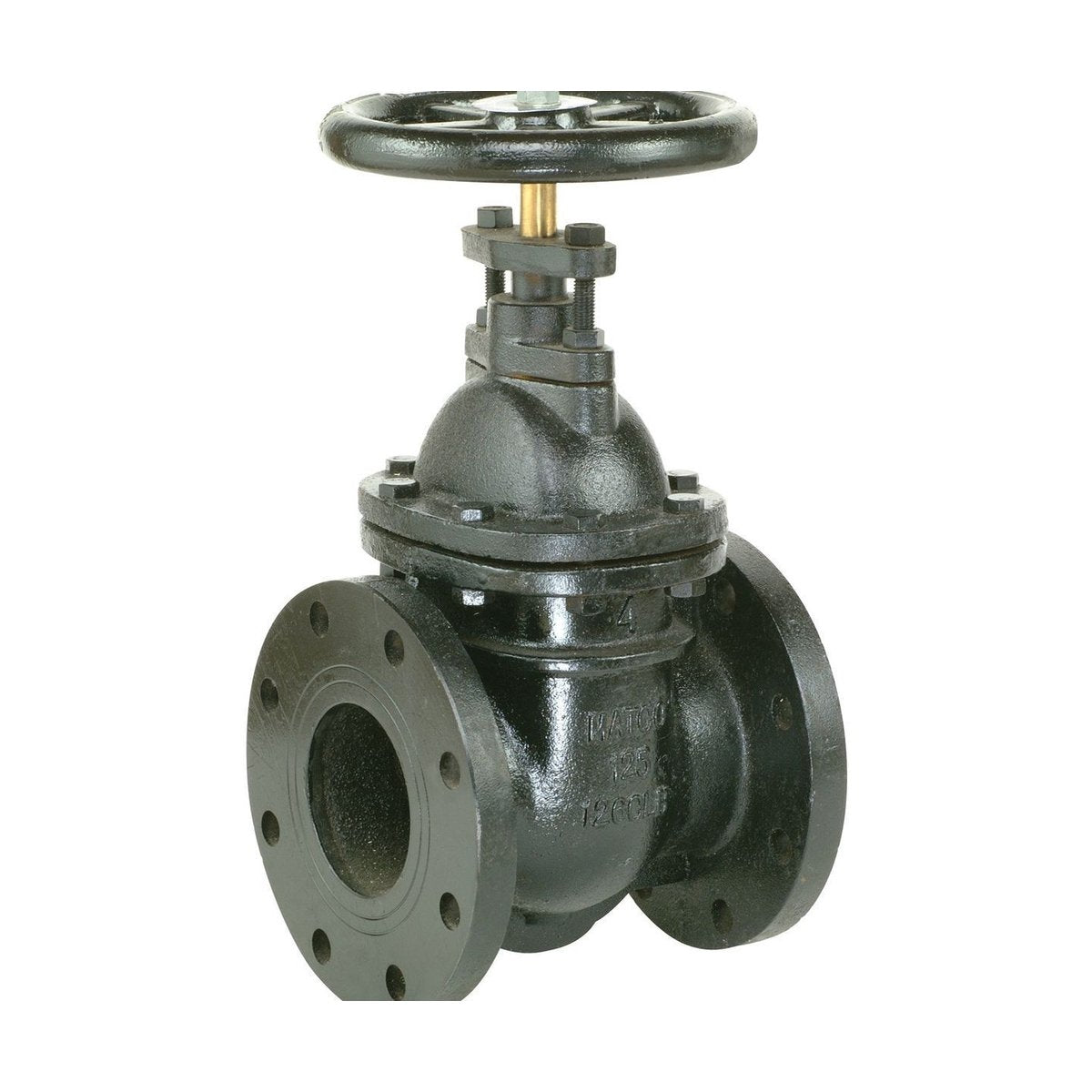Style 200 | Gate Valve | Cast Iron | Flanged