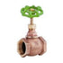 Style 200 | Globe Valve | Lead Free | Brass