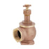 Style 240 | Globe Valve | Brass | Angle