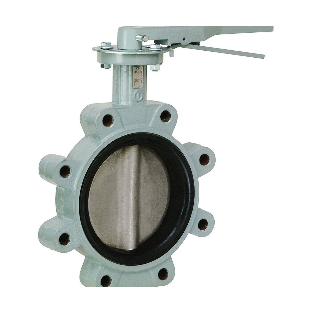Style B5 | Butterfly Valve | Lug | Gear