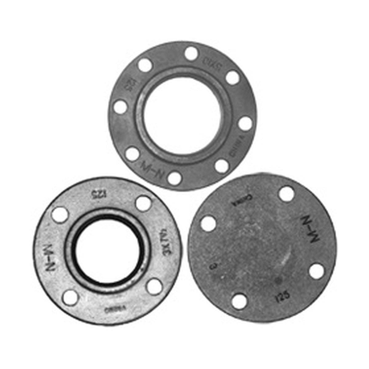 Style CICFB | Cast Iron Companion | Reducing & Blind Flanges