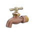 Style FY-692 | Hose Bibb | Rough Brass | Plain End | MIP Inlet