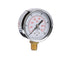 PEM Gauge | 2.5in Dial | Bottom Mount