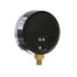 PEM Gauge | 4in Dial | Back Mount