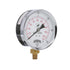 PEM Gauge | 4in Dial | Back Mount
